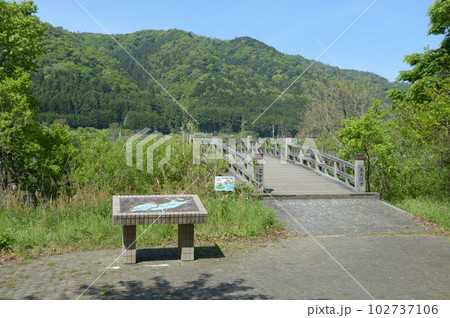 乙女ケ池　太鼓橋の入口　滋賀県高島市勝野 102737106