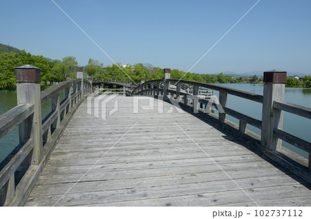 乙女ケ池　太鼓橋　滋賀県高島市勝野 102737112