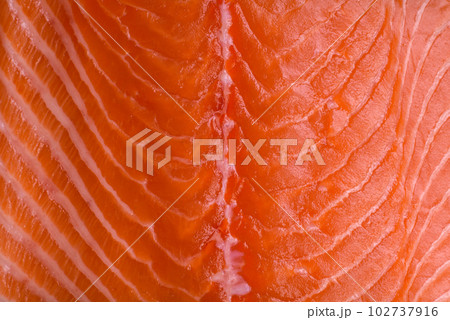 Fresh raw salmon red fish fillet with salt and spices 102737916