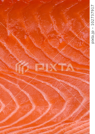 Fresh raw salmon red fish fillet with salt and spices 102737917