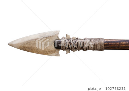 Arrowhead made of bone on arrow. 102738231