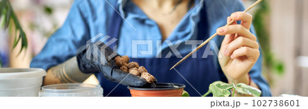 Cropped shot of woman pouring drainage into flower pot while preparing for plant transplantation in living room at home 102738601