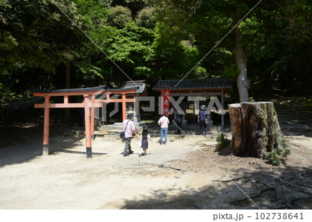 白髭神社　弁財天・寿老神・稲荷社・天満宮　滋賀県高島市鵜川 102738641