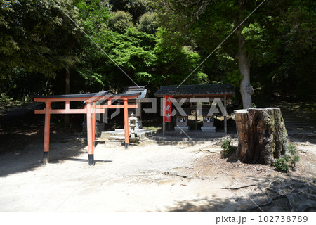 白髭神社　弁財天・寿老神・稲荷社・天満宮　滋賀県高島市鵜川 102738789