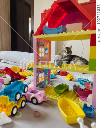 Striped cat lies on a bed near a multi-colored house made of Lego and toys Striped cat lies on a bed near a multi-colored house made of Lego and toys 102741838