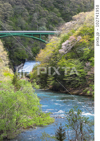 胎内川の風景 胎内川の風景 102741958