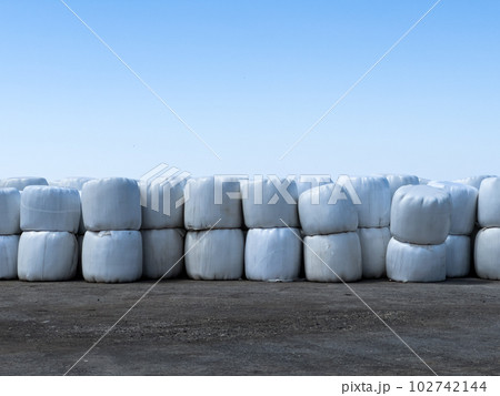 Bales of hay stand on the road against the blue sky 102742144