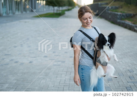 Happy caucasian woman walking with a dog in a backpack. Papillon Spaniel Continental in a sling. 102742915