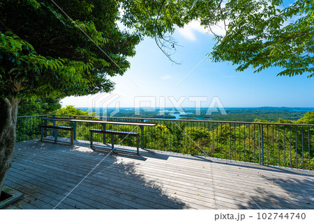 春の横山展望台 102744740