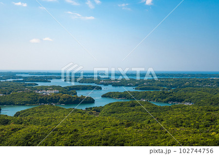 春の横山展望台 102744756