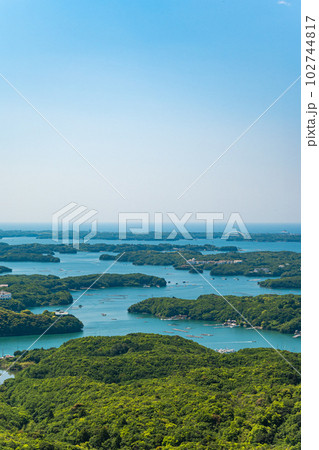 春の横山展望台 102744817