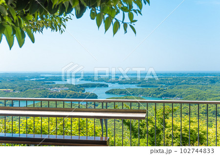 春の横山展望台 102744833