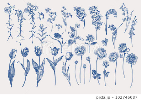 Set with tulips, ranunculus, forget-me-not, flax, hyacinth, violet, hazel grouse. Collection of spring and summer plants. Blue Set with tulips, ranunculus, forget-me-not, flax, hyacinth, violet, hazel grouse. Collection of spring and summer plants. Blue 102746087