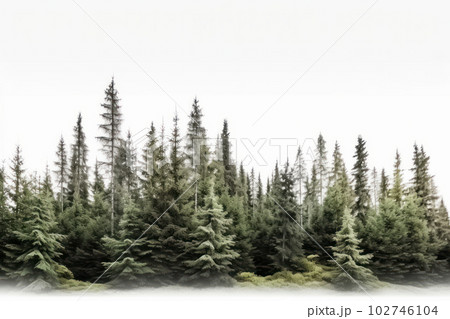 A calm winter forest with a row of snow-covered trees on a white background is AI Generative. 102746104
