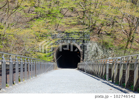 春の碓氷第三橋梁 めがね橋 群馬県安中市 春の碓氷第三橋梁 めがね橋 群馬県安中市 102746542