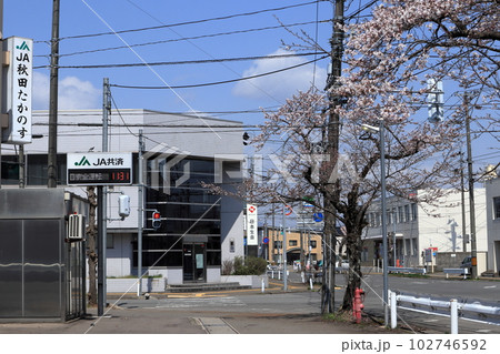 JA秋田たかのす前の桜 102746592