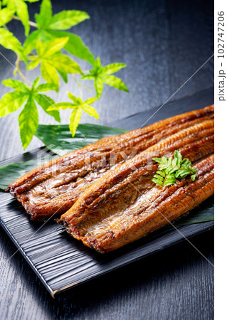 うなぎの蒲焼 うなぎの蒲焼 102747206