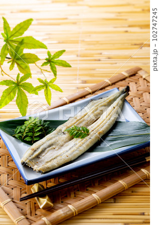 鰻　白焼き 102747245