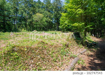 小倉城跡　郭1　本郭　北虎口付近　ときがわ町　　 102747543