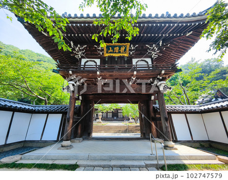 照蓮寺・山門 照蓮寺・山門 102747579