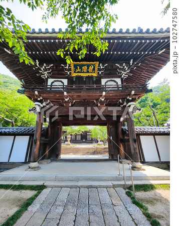 照蓮寺・山門 照蓮寺・山門 102747580