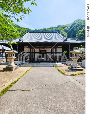 照蓮寺・本堂 照蓮寺・本堂 102747584