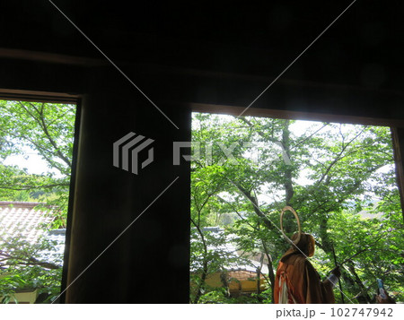 太山寺 五月十二日 練り供養 太山寺 五月十二日 練り供養 102747942