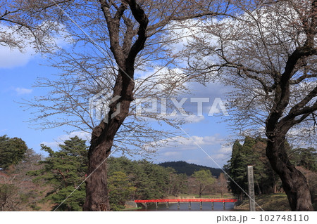 鷹巣中央公園 102748110