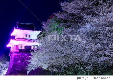 ライトアップされた春の大村公園　長崎県大村市 102748827