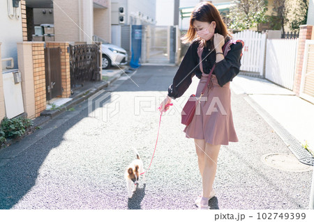 犬の散歩 犬の散歩 102749399