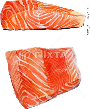 サーモンの切り身 水差風ベクターイラストセット 102749400