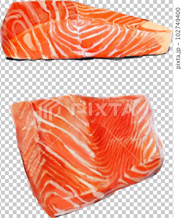 サーモンの切り身 水差風ベクターイラストセット 102749400
