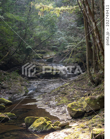 奈良県宇陀市の深谷龍鎮渓谷 奈良県宇陀市の深谷龍鎮渓谷 102749411