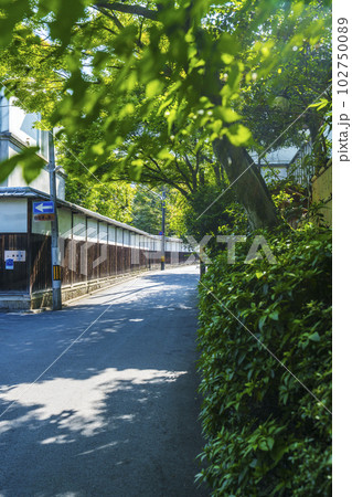 京都　無鄰菴前の道沿いの塀（京都市左京区南禅寺草川町） 102750089