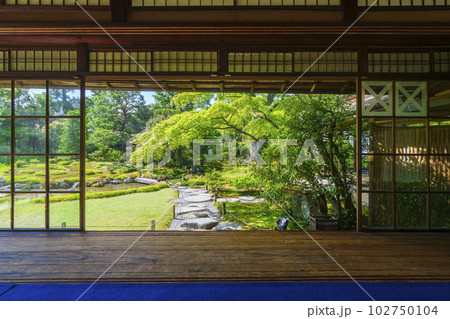 京都　無鄰菴　新緑の季節（京都市左京区南禅寺草川町） 102750104