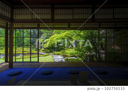 京都　無鄰菴　新緑の季節（京都市左京区南禅寺草川町） 102750133