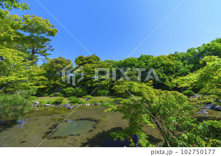 京都 無鄰菴 新緑の季節(京都市左京区南禅寺草川町) 京都 無鄰菴 新緑の季節(京都市左京区南禅寺草川町) 102750177