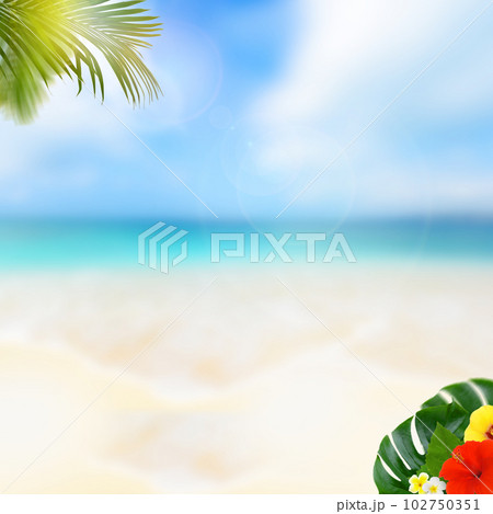 トロピカルな雰囲気の背景素材 102750351