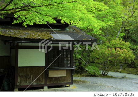 新緑の中に佇む建物(石川県小松市 那谷寺にて) 新緑の中に佇む建物(石川県小松市 那谷寺にて) 102750838