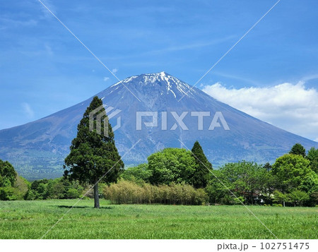 一本杉と富士山 102751475