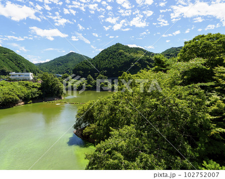 新緑のダム湖の風景 102752007