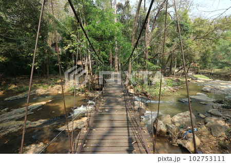 タイ北部 メーサー滝の吊橋 タイ北部 メーサー滝の吊橋 102753111