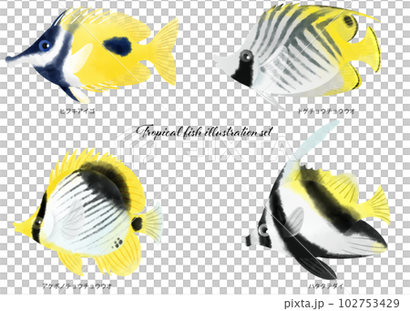 Tropical fish illustration material set Tropical fish illustration material set 102753429
