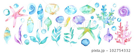 水彩画。水彩タッチの夏の貝殻ベクターイラスト。ヒトデや貝の背景フレーム。 102754332