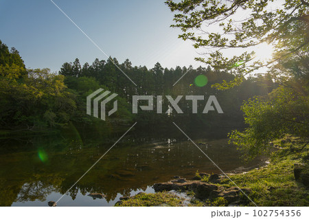 Lakeside surrounded by a secluded and beautiful forest Lakeside surrounded by a secluded and beautiful forest 102754356