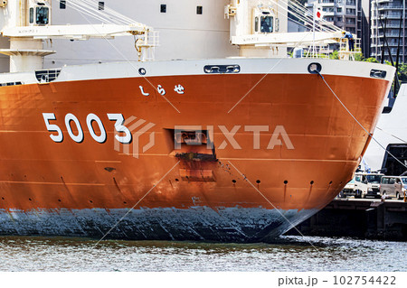 南極観測航海を終え海上自衛隊横須賀基地に帰港した砕氷船しらせの砕氷で傷ついた吃水線 102754422