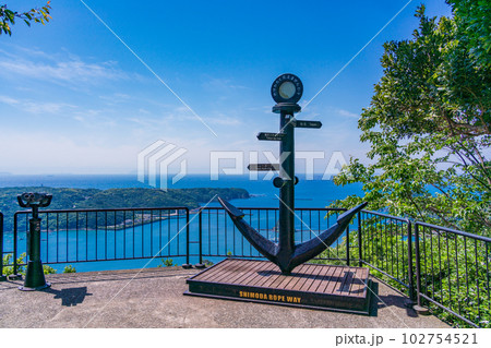 （静岡県）寝姿山展望台から眺める下田港 102754521