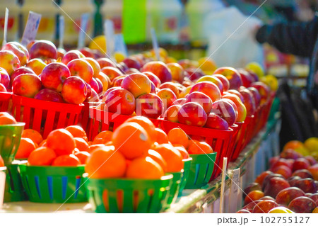 ジャン・タロン市場（野菜市場） 102755127