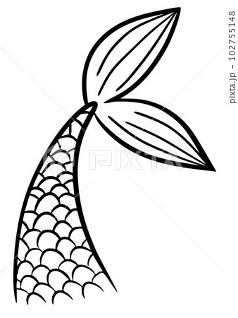 Mermaid tail cute vector black contour marine tale girl element 102755148