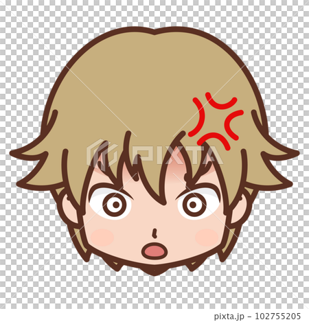 顔・表情アイコン(怒る・怒り)/男性・若い【5】 顔・表情アイコン(怒る・怒り)/男性・若い【5】 102755205